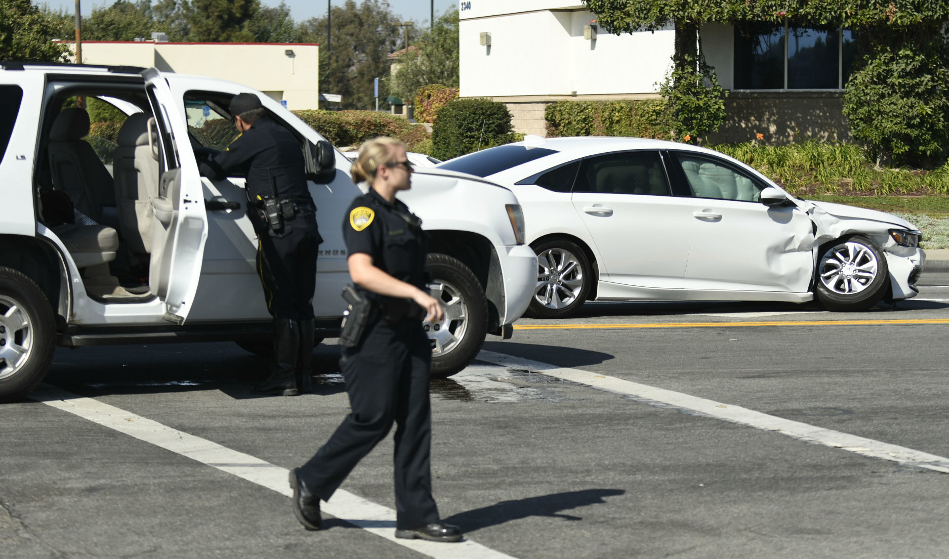 092519 Juvenile pursuit 02.jpg